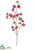 Dogwood Spray - Crimson - Pack of 12