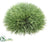 Pine Grass Half Dome - Green Frosted - Pack of 8