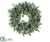 Royal Ficus Wreath With Berries And Twig Base - Green Frosted - Pack of 4