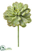 Silk Plants Direct Aeonium Pick - Green Frosted - Pack of 12