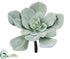 Silk Plants Direct Echeveria Pick - Gray Frosted - Pack of 12