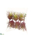 Silk Plants Direct Mini Tillandisa Pick - Burgundy - Pack of 12