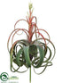 Silk Plants Direct Tillandsia Pick - Green Burgundy - Pack of 2