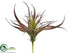 Silk Plants Direct Tillandsia - Burgundy Green - Pack of 12