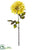 Dahlia Spray - Yellow Antique - Pack of 12