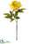 Open Peony Spray - Yellow Antique - Pack of 12