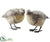 Glittered Bird - Brown Antique - Pack of 2