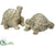 Silk Plants Direct Turtle - Green Antique - Pack of 2