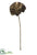 Metallic Poppy Spray - Bronze Antique - Pack of 12