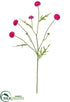 Silk Plants Direct Wild Pompom Spray - Beauty - Pack of 24