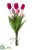 Tulip, Twig Bundle - Beauty - Pack of 12