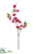 Cherry Blossom Spray - Beauty - Pack of 12