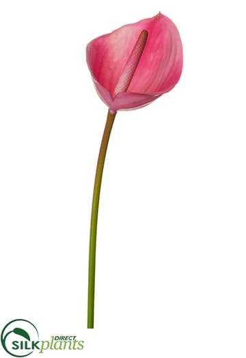 silk pink anthurium Silk Plants Direct Anthurium Spray - Purple