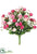 Rose Bush - Pink Beauty - Pack of 24