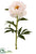 Peony Spray - Peach Light - Pack of 12