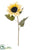 Sunflower Spray - Olive Green Light - Pack of 12