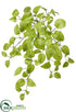Silk Plants Direct Pothos Bush - Green Light - Pack of 6