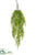 Silk Plants Direct Curly Fern Hanging Bush - Green Light - Pack of 12
