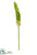 Red-Hot Poker Spray - Green Light - Pack of 12