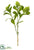 Silk Plants Direct Skimmia Spray - Green Light - Pack of 12
