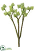 Silk Plants Direct Sedum Spray - Green Light - Pack of 12