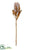Dried Look Princess Protea Spray - Camel Two Tone - Pack of 12