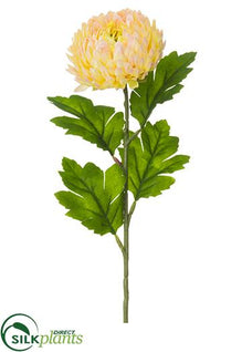 Mum Spray - Peach Two Tone - Pack of 12