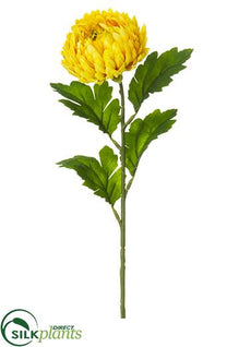 Mum Spray - Yellow Two Tone - Pack of 12