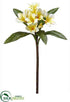 Silk Plants Direct Plumeria Spray - Yellow Two Tone - Pack of 12