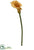 Silk Plants Direct Giant Calla Lily Spray - Yellow Two Tone - Pack of 8