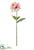 Dahlia Spray - Pink Two Tone - Pack of 12