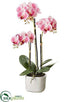 Silk Plants Direct Phalaenopsis Orchid Plant - Pink Two Tone - Pack of 4