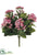 Kalanchoe Bush - Pink Two Tone - Pack of 6