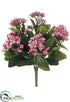 Silk Plants Direct Kalanchoe Bush - Pink Two Tone - Pack of 6