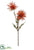 Verona Spider Mum Spray - Flame Two Tone - Pack of 12
