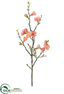 Quince Blossom Spray - Coral Two Tone - Pack of 12