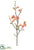 Quince Blossom Spray - Coral Two Tone - Pack of 12