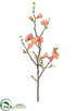 Silk Plants Direct Quince Blossom Spray - Coral Two Tone - Pack of 12