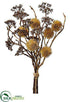 Silk Plants Direct Dried Look Plastic Berry, Thistle Bundle - Brown Two Tone - Pack of 12