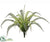 Silk Plants Direct Boston Fern Bush - Green Two Tone - Pack of 12
