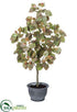 Silk Plants Direct Smoke Tree - Green Two Tone - Pack of 1