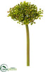 Silk Plants Direct Allium Bud Spray - Green Two Tone - Pack of 12