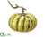 Pumpkin - Green Two Tone - Pack of 6