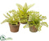 Silk Plants Direct Fern - Green Two Tone - Pack of 5