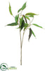 Silk Plants Direct Eucalyptus Spray - Green Two Tone - Pack of 12