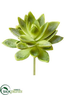 Agave Pick - Green Two Tone - Pack of 12