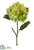 Hydrangea Spray - Green Two Tone - Pack of 12