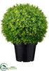 Silk Plants Direct Baby's Tear Ball Topiary - Green Two Tone - Pack of 2