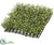Boxwood Mat - Green Two Tone - Pack of 6
