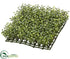 Silk Plants Direct Boxwood Mat - Green Two Tone - Pack of 6